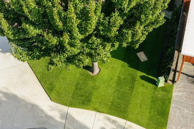 Professional Turf Preparation
