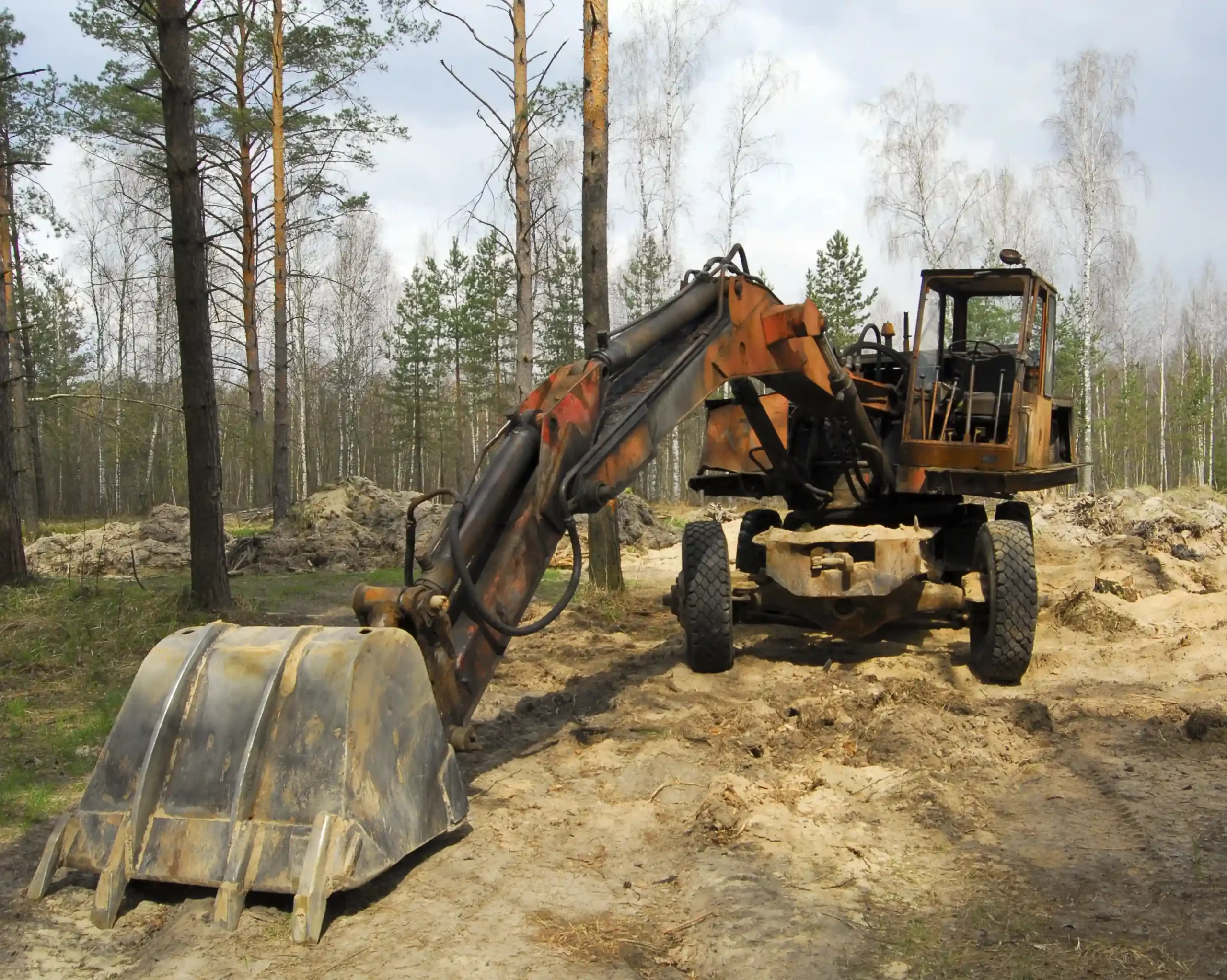 A Complete Guide to Safe and Efficient Land Clearing Melbourne